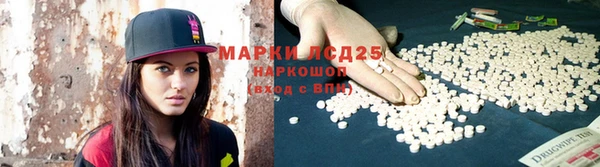 индика Переславль-Залесский