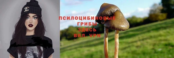 молекула духа Абинск