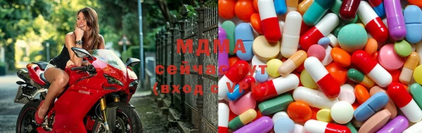 стаф Алзамай