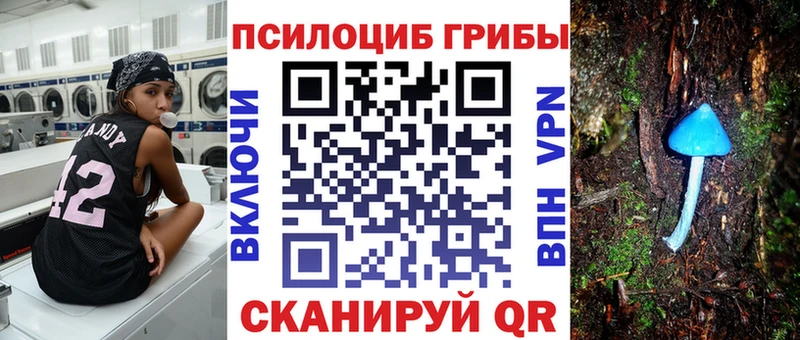 KRAKEN tor  Ладушкин  Псилоцибиновые грибы Psilocybine cubensis  дарнет шоп 